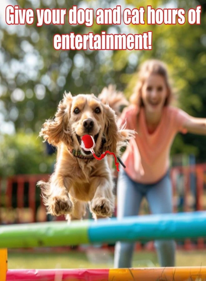 Treayes 2025 New Interactive Dog Cat Toys Balls,Interactive Rolling Ball Cat Toy, 360° Smart Automatic Rolling Pet Ball, Fast Moving Toy for Dog and Cat(Red) - Image 4